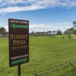 torrey pines