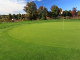 How Big or Small Can a Golf Green Be?