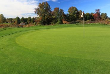 How Big or Small Can a Golf Green Be?